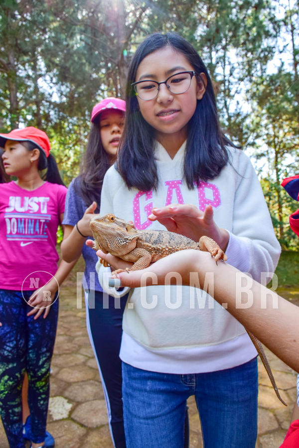 Buy your photos of the eventNR1- English e Action 11 a 13/06/18 on Fotop