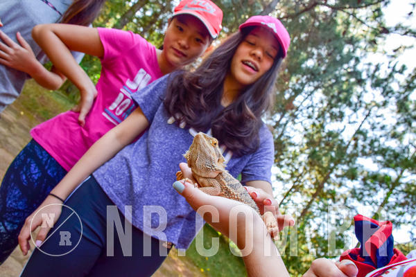 Buy your photos of the eventNR1- English e Action 11 a 13/06/18 on Fotop