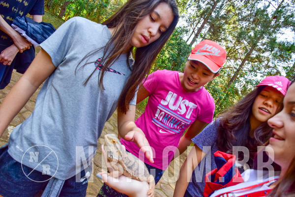 Buy your photos of the eventNR1- English e Action 11 a 13/06/18 on Fotop