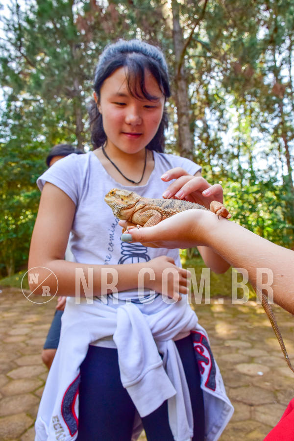 Buy your photos of the eventNR1- English e Action 11 a 13/06/18 on Fotop