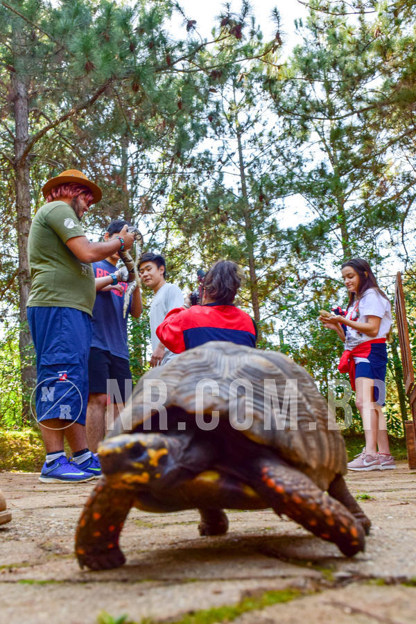 Buy your photos of the eventNR1- English e Action 11 a 13/06/18 on Fotop