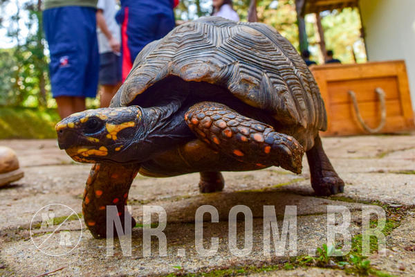 Buy your photos of the eventNR1- English e Action 11 a 13/06/18 on Fotop