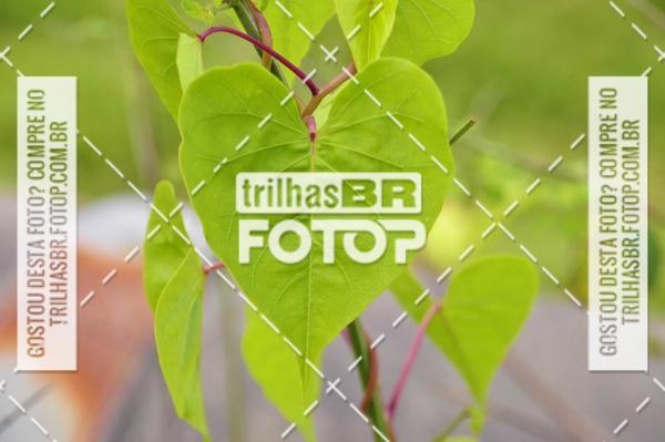 Buy your photos of the eventAudax Floripa 400km on Fotop