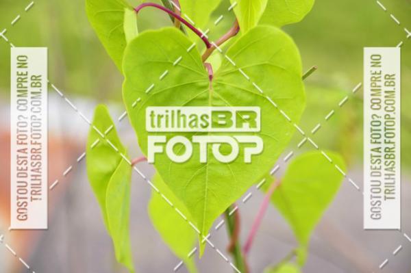 Buy your photos of the eventAudax Floripa 400km on Fotop