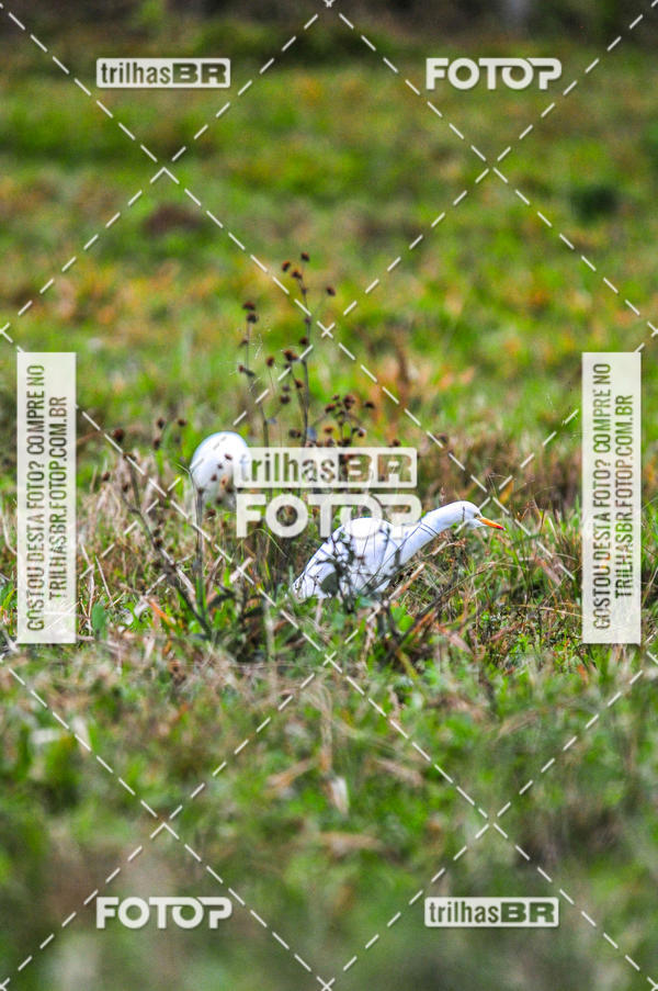 Buy your photos of the eventAudax Floripa 400km on Fotop