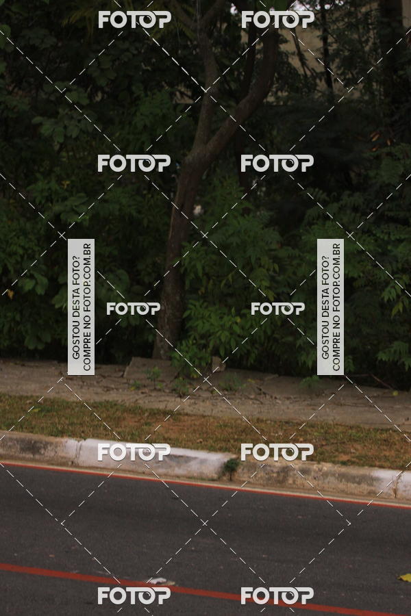 Buy your photos of the eventVSERIES Duathlon & Running on Fotop