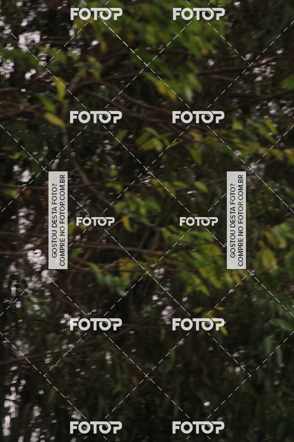 Buy your photos of the eventVSERIES Duathlon & Running on Fotop