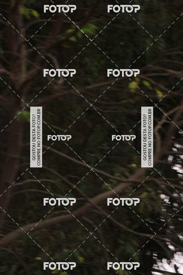 Buy your photos of the eventVSERIES Duathlon & Running on Fotop