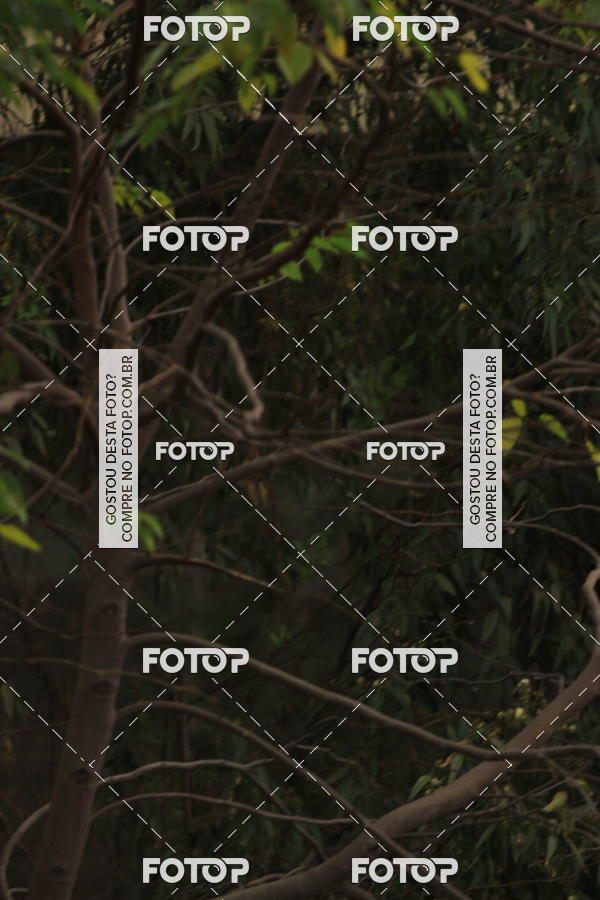 Buy your photos of the eventVSERIES Duathlon & Running on Fotop