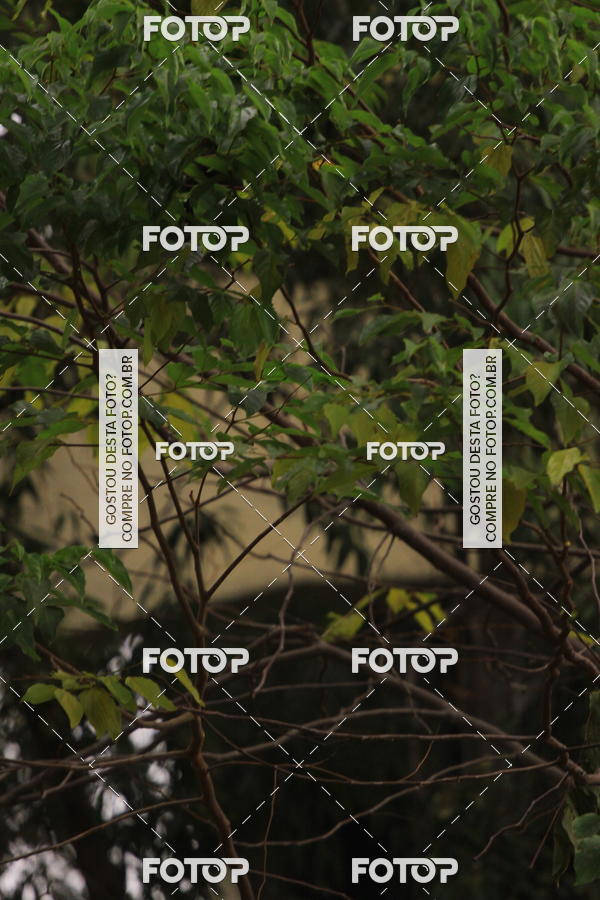 Buy your photos of the eventVSERIES Duathlon & Running on Fotop