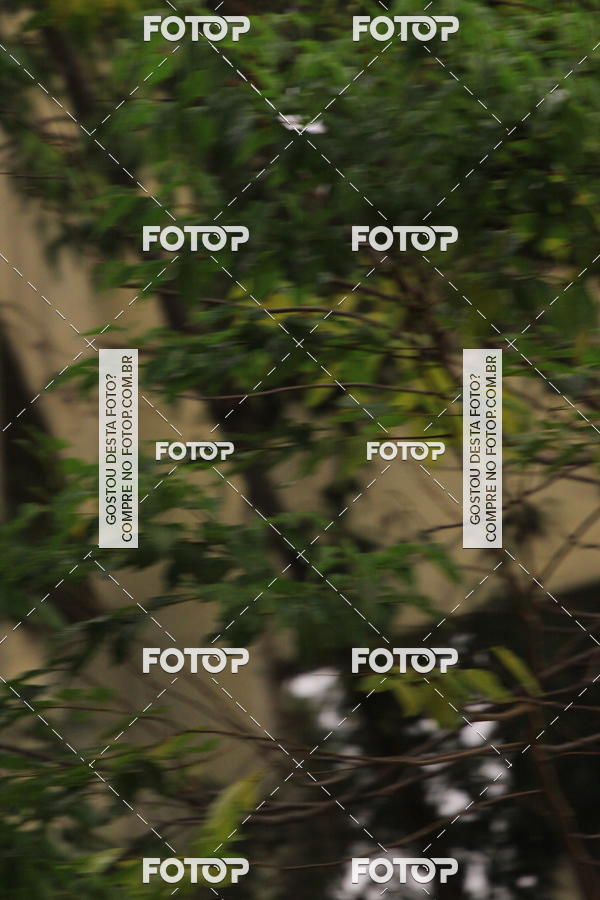 Buy your photos of the eventVSERIES Duathlon & Running on Fotop