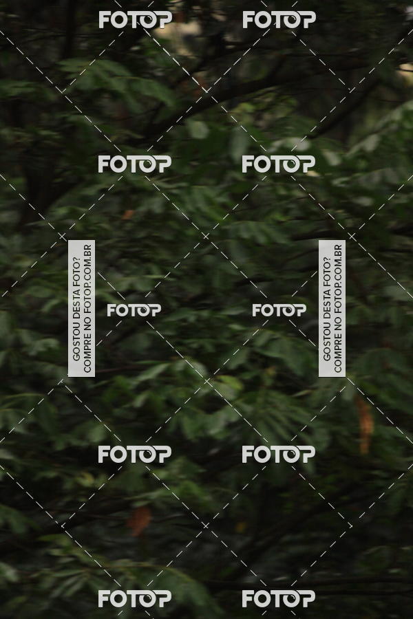 Buy your photos of the eventVSERIES Duathlon & Running on Fotop