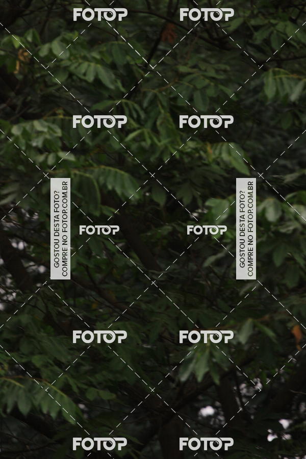 Buy your photos of the eventVSERIES Duathlon & Running on Fotop