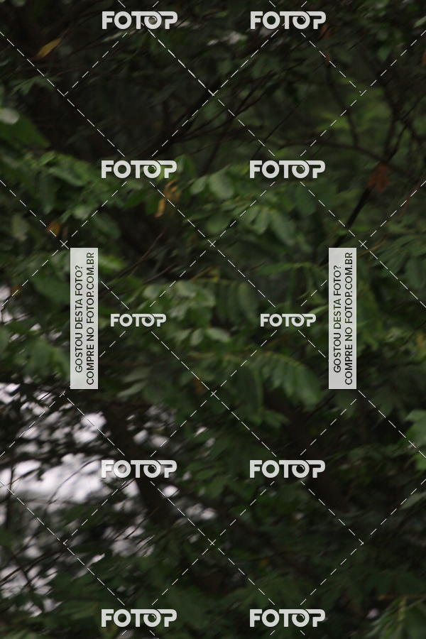 Buy your photos of the eventVSERIES Duathlon & Running on Fotop