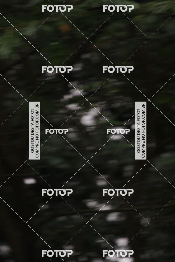 Buy your photos of the eventVSERIES Duathlon & Running on Fotop