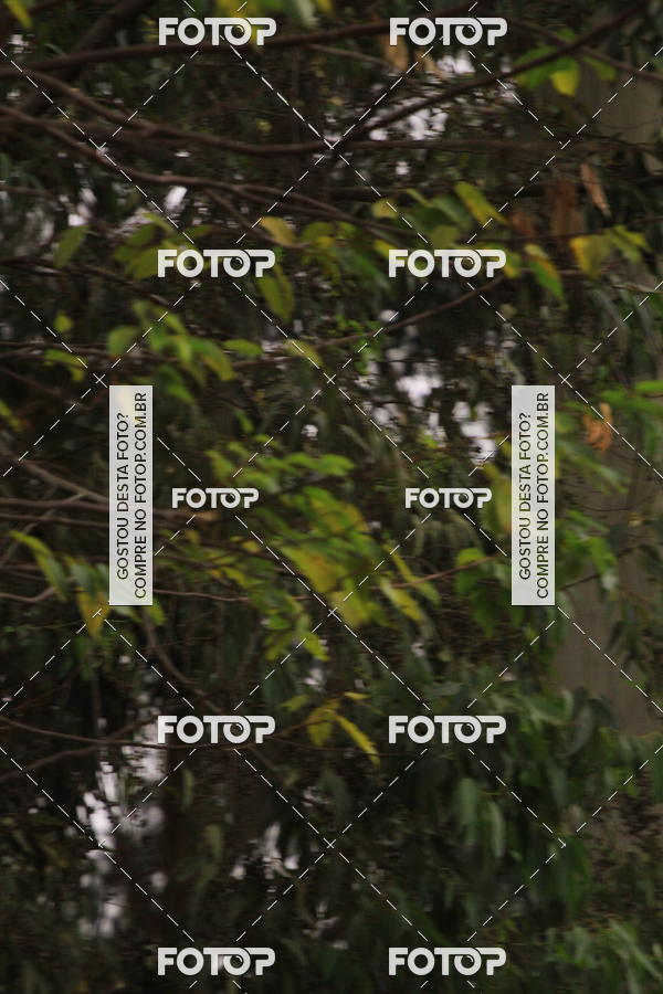 Buy your photos of the eventVSERIES Duathlon & Running on Fotop