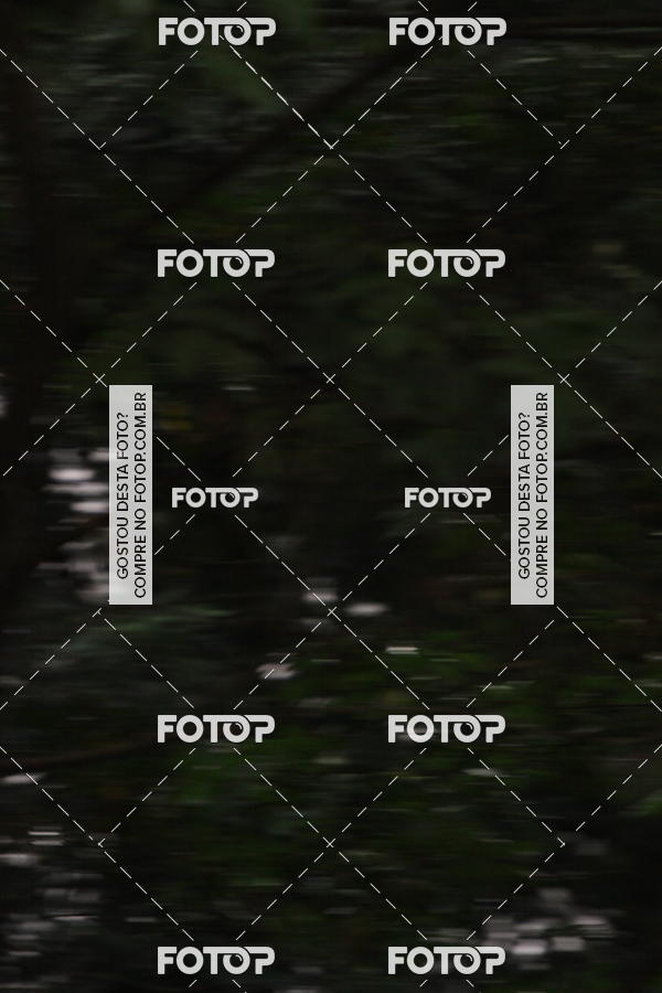 Buy your photos of the eventVSERIES Duathlon & Running on Fotop