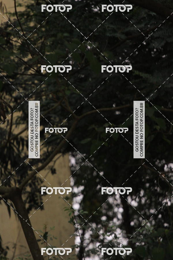 Buy your photos of the eventVSERIES Duathlon & Running on Fotop