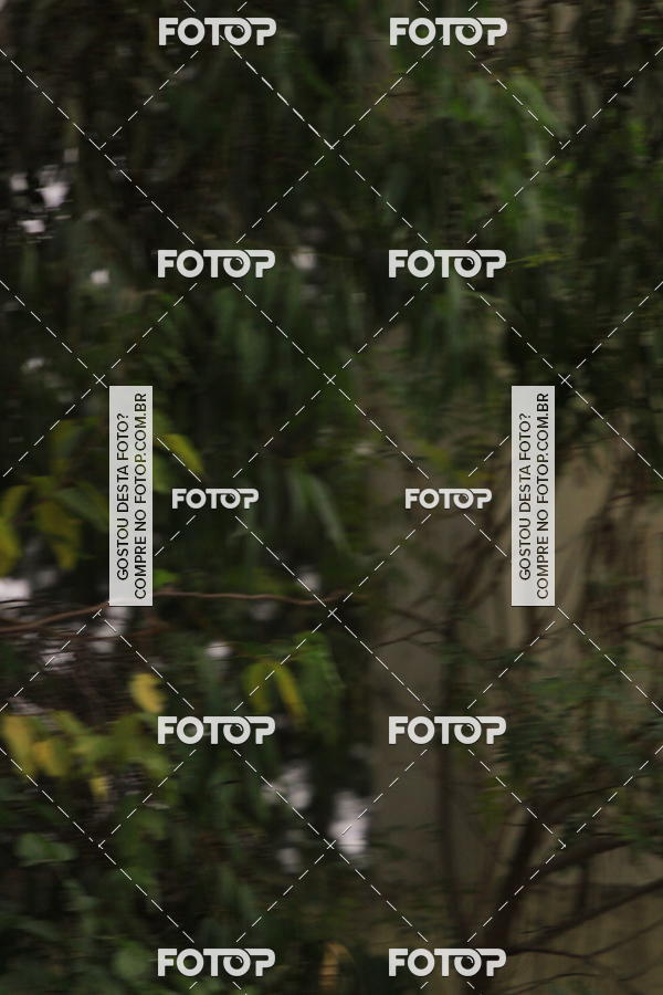 Buy your photos of the eventVSERIES Duathlon & Running on Fotop