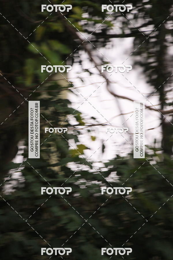 Buy your photos of the eventVSERIES Duathlon & Running on Fotop