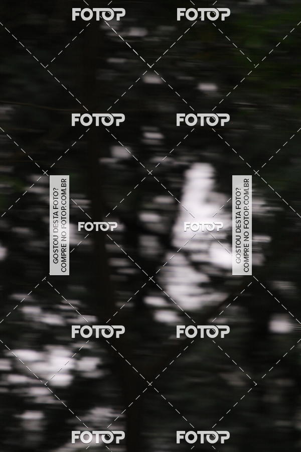 Buy your photos of the eventVSERIES Duathlon & Running on Fotop