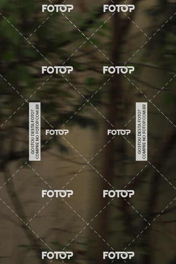 Buy your photos of the eventVSERIES Duathlon & Running on Fotop