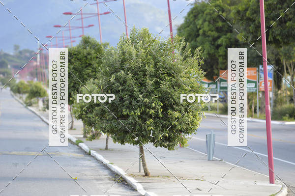 Buy your photos of the eventEvolution On the Road on Fotop