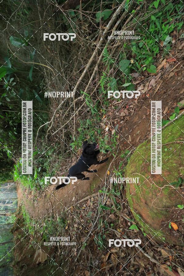 Buy your photos of the eventWorld Trail Run - WTR Serra do Mar 2018 on Fotop