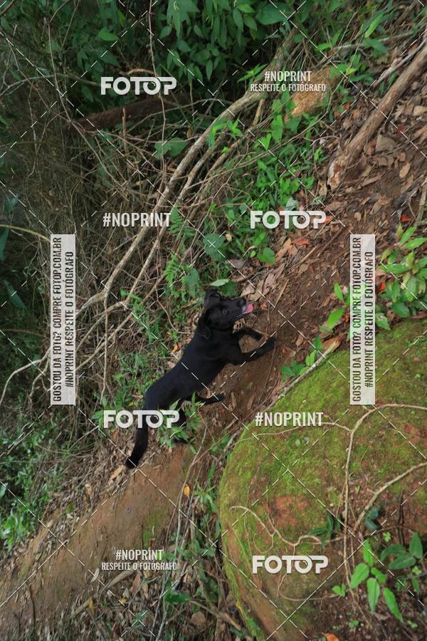 Buy your photos of the eventWorld Trail Run - WTR Serra do Mar 2018 on Fotop