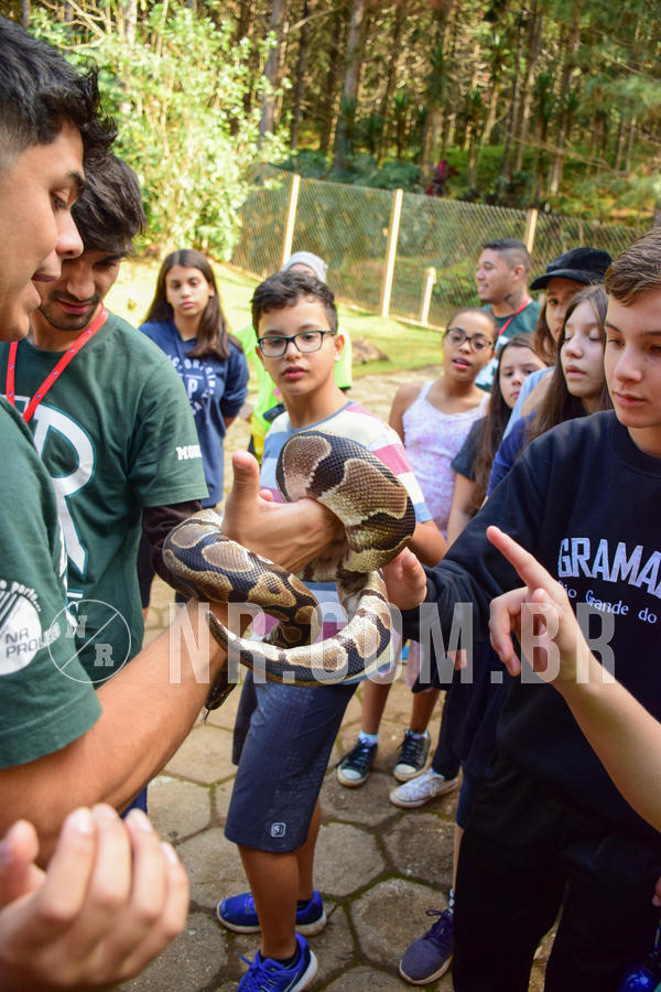 Buy your photos of the eventNR1 - Cl�ssico de 14 a 17/06/18 on Fotop