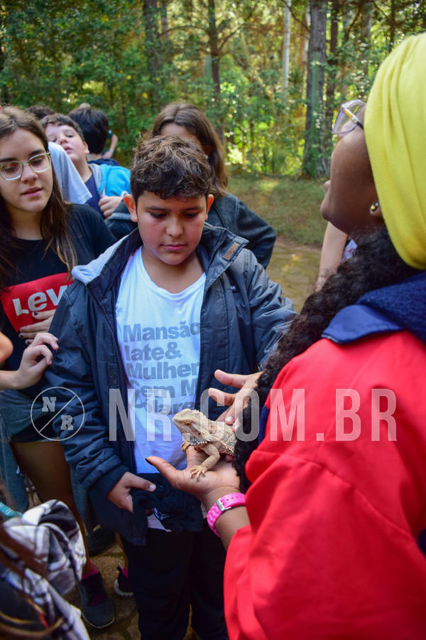 Buy your photos of the eventNR1 - Cl�ssico de 14 a 17/06/18 on Fotop