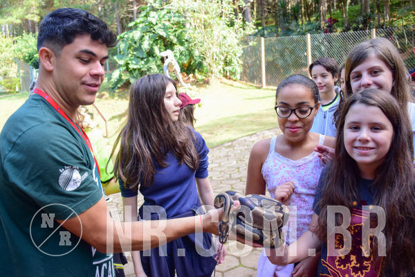 Buy your photos of the eventNR1 - Cl�ssico de 14 a 17/06/18 on Fotop