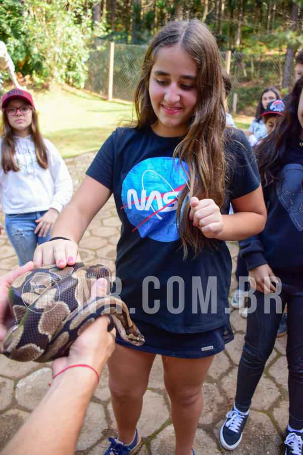 Buy your photos of the eventNR1 - Cl�ssico de 14 a 17/06/18 on Fotop