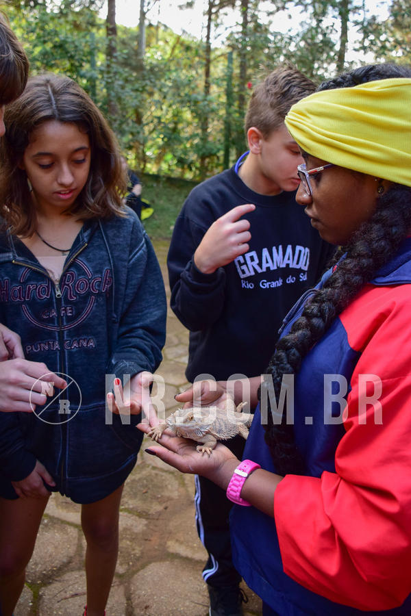 Buy your photos of the eventNR1 - Cl�ssico de 14 a 17/06/18 on Fotop