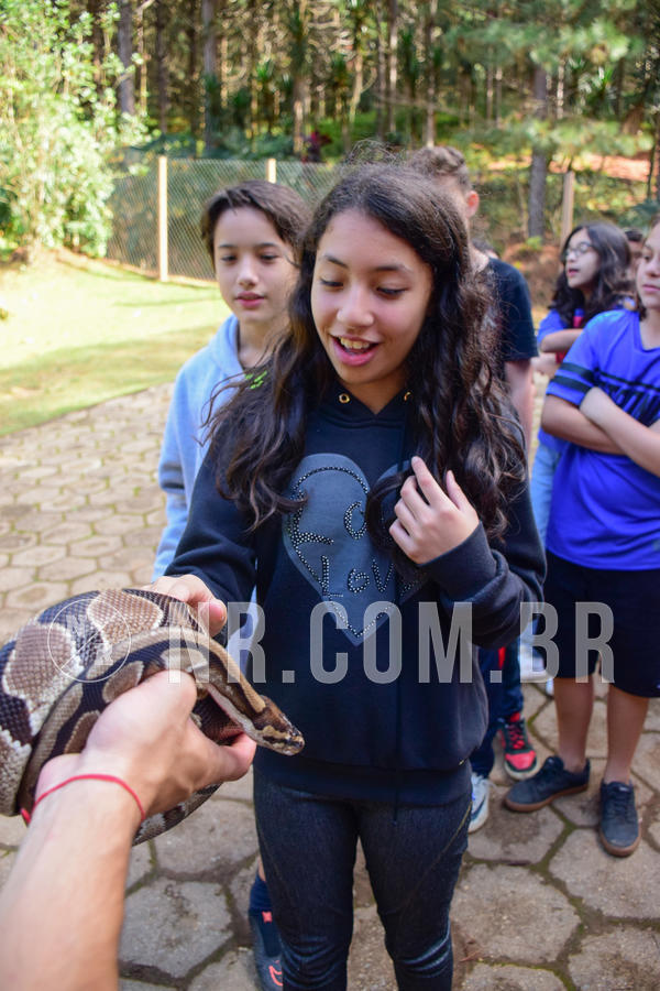 Buy your photos of the eventNR1 - Cl�ssico de 14 a 17/06/18 on Fotop