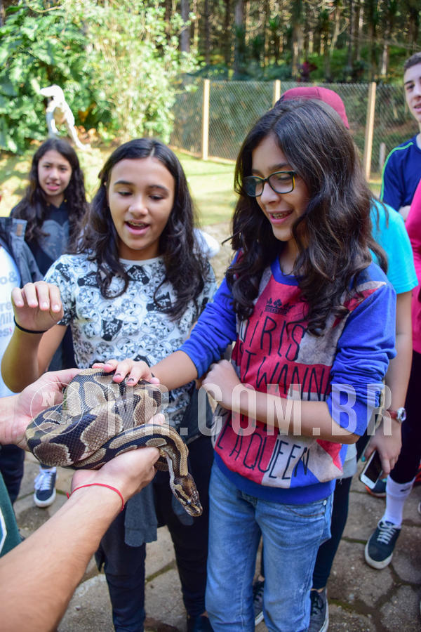 Buy your photos of the eventNR1 - Cl�ssico de 14 a 17/06/18 on Fotop