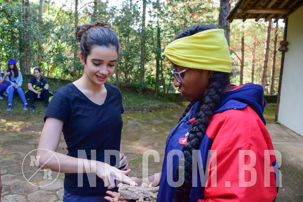 Buy your photos of the eventNR1 - Cl�ssico de 14 a 17/06/18 on Fotop