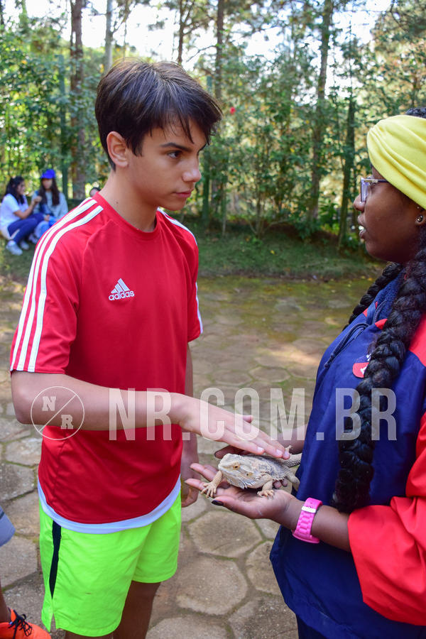 Buy your photos of the eventNR1 - Cl�ssico de 14 a 17/06/18 on Fotop