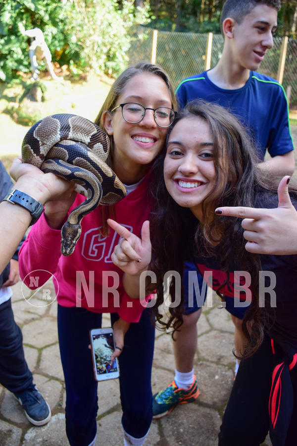 Buy your photos of the eventNR1 - Cl�ssico de 14 a 17/06/18 on Fotop