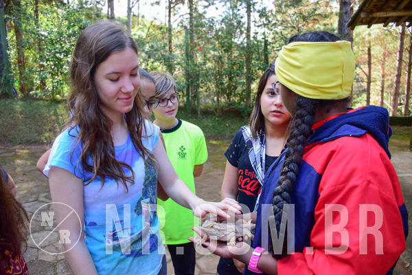 Buy your photos of the eventNR1 - Cl�ssico de 14 a 17/06/18 on Fotop