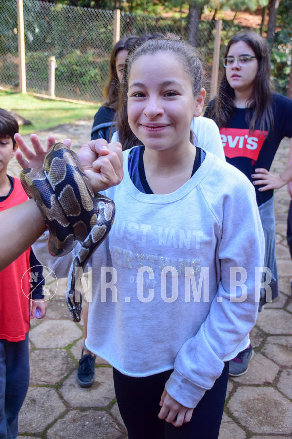 Buy your photos of the eventNR1 - Cl�ssico de 14 a 17/06/18 on Fotop