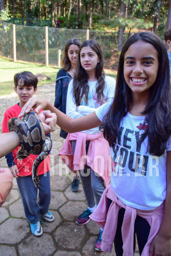 Buy your photos of the eventNR1 - Cl�ssico de 14 a 17/06/18 on Fotop