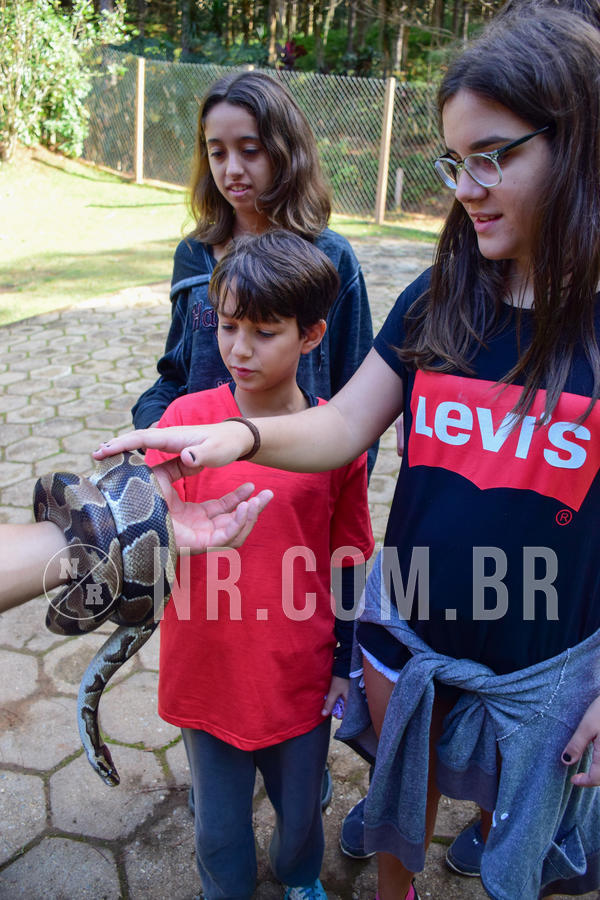 Buy your photos of the eventNR1 - Cl�ssico de 14 a 17/06/18 on Fotop