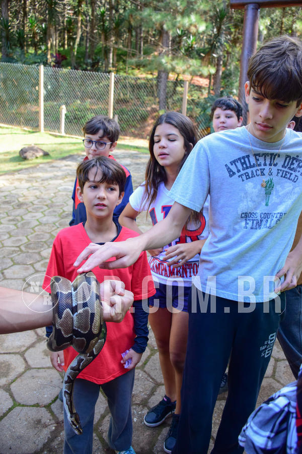 Buy your photos of the eventNR1 - Cl�ssico de 14 a 17/06/18 on Fotop