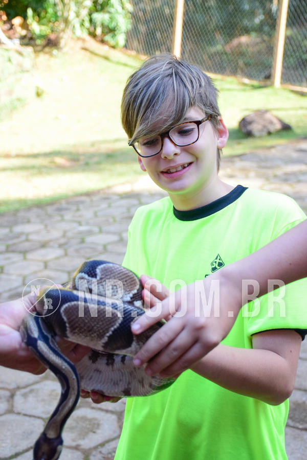 Buy your photos of the eventNR1 - Cl�ssico de 14 a 17/06/18 on Fotop