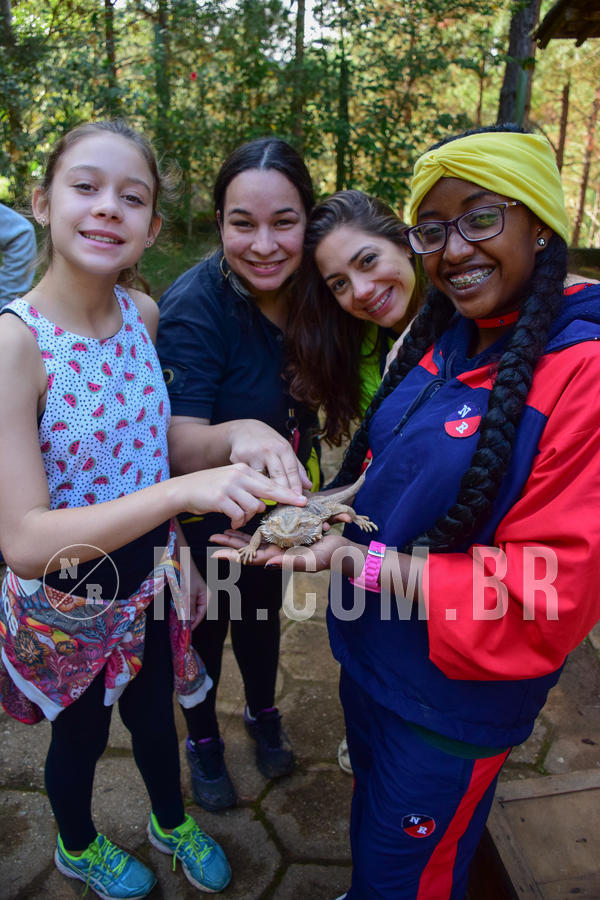 Buy your photos of the eventNR1 - Cl�ssico de 14 a 17/06/18 on Fotop