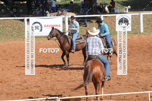 Buy your photos of the eventTEAM PENNING  GRANDE FINAL CAMARU on Fotop
