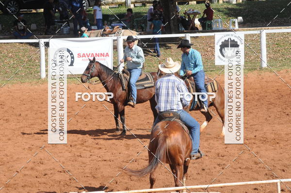 Buy your photos of the eventTEAM PENNING  GRANDE FINAL CAMARU on Fotop