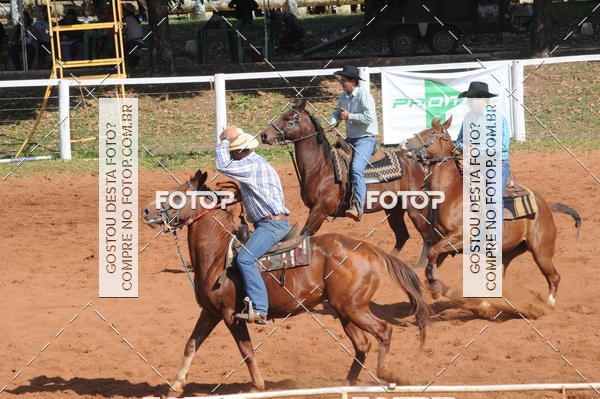 Buy your photos of the eventTEAM PENNING  GRANDE FINAL CAMARU on Fotop