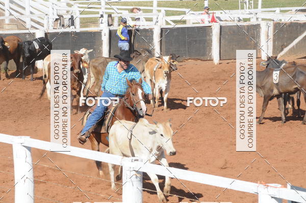 Buy your photos of the eventTEAM PENNING  GRANDE FINAL CAMARU on Fotop